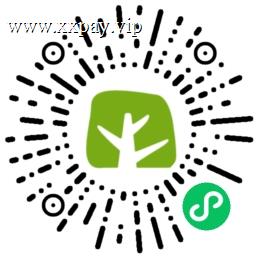 XxPay支付产品|小新支付